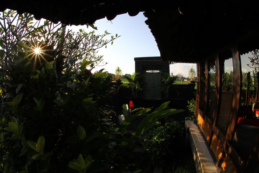 Villa Gede Private Guest House Selemadeg  Eksteriør billede